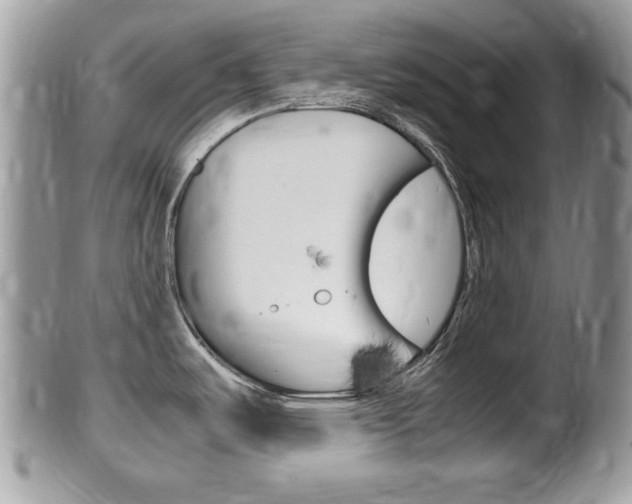 X0000100481487200806130721