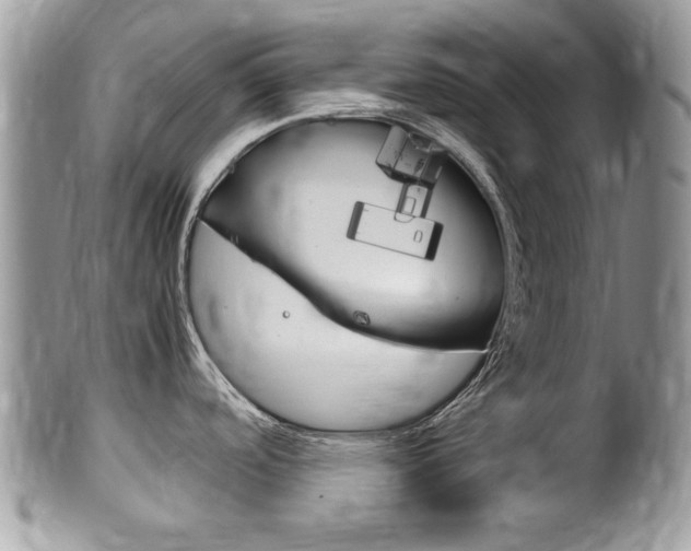 X0000100481488200806130721