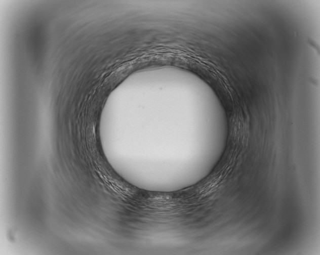 X0000100481489200806130720