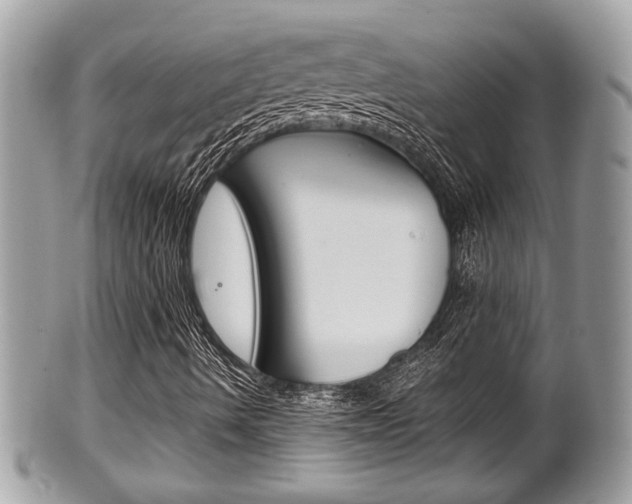 X0000100481490200806130720