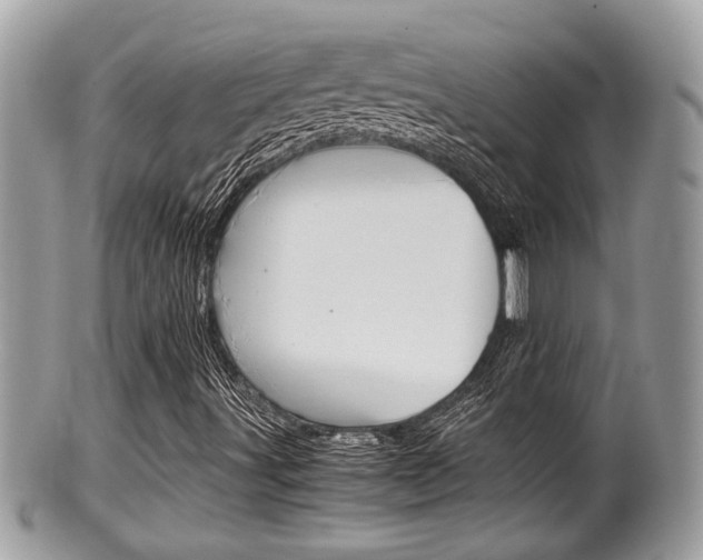 X0000100481491200806130720