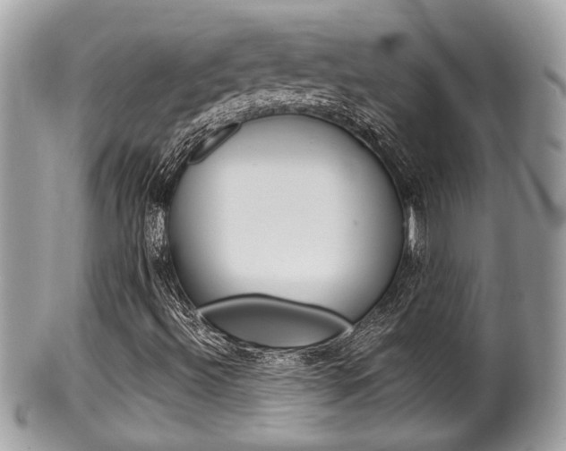 X0000100481492200806130720