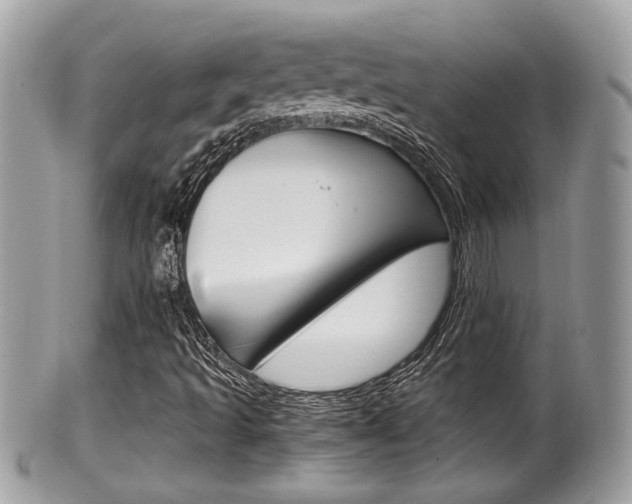 X0000100481493200806130720