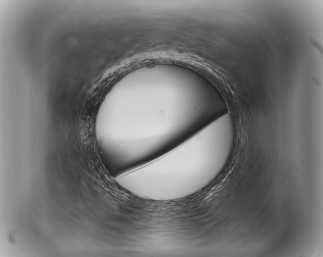 X0000100481494200806130720