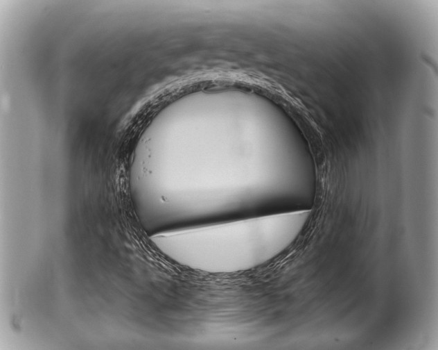 X0000100481495200806130720