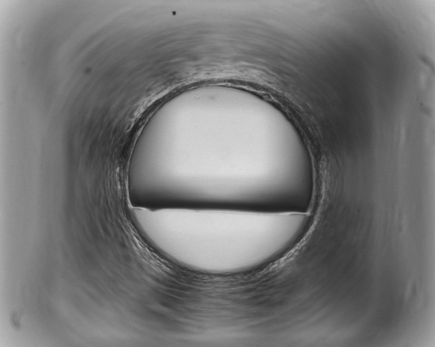 X0000100481497200806130720