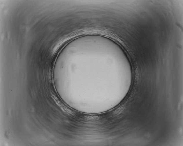 X0000100481499200806130720