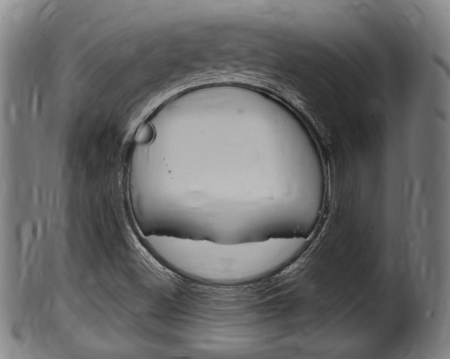 X0000100481500200806130720
