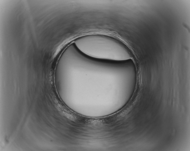 X0000100481501200806130720