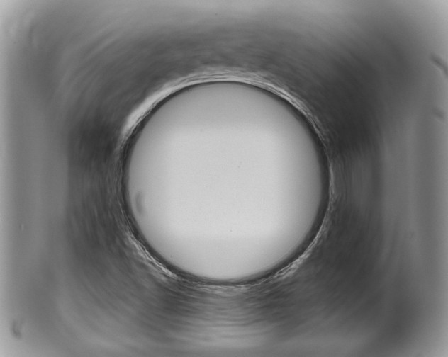 X0000100481502200806130720