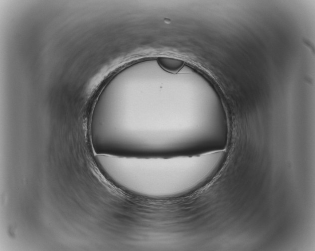 X0000100481503200806130720