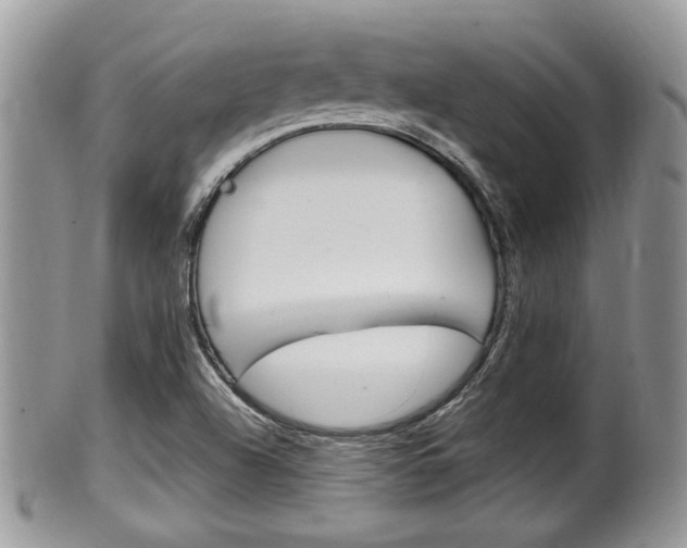 X0000100481504200806130720