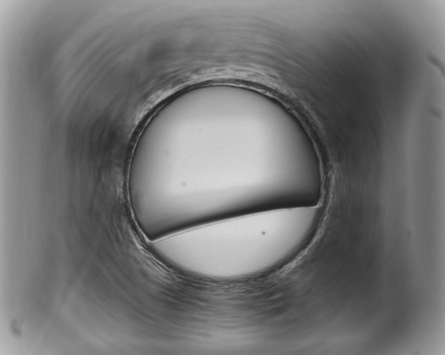 X0000100481505200806130720