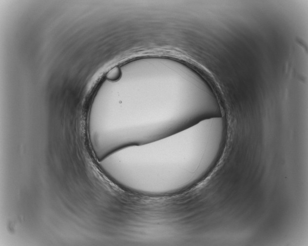 X0000100481506200806130720