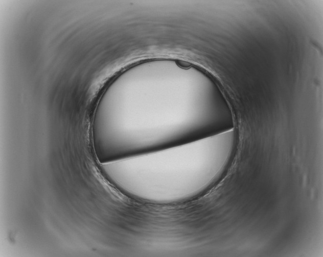 X0000100481507200806130720