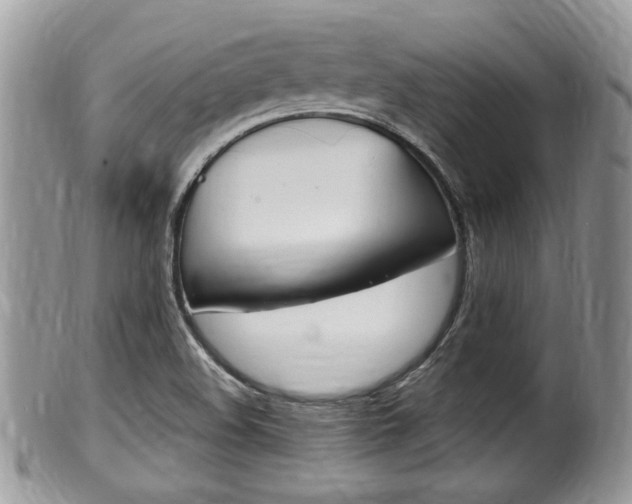 X0000100481508200806130720