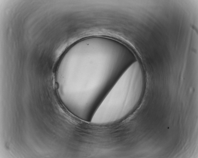 X0000100481509200806130720