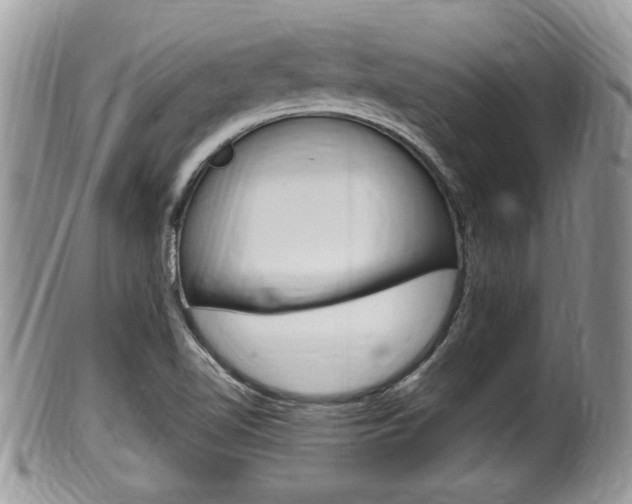 X0000100481510200806130720
