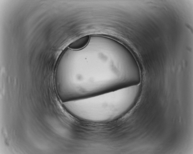 X0000100481513200806130720