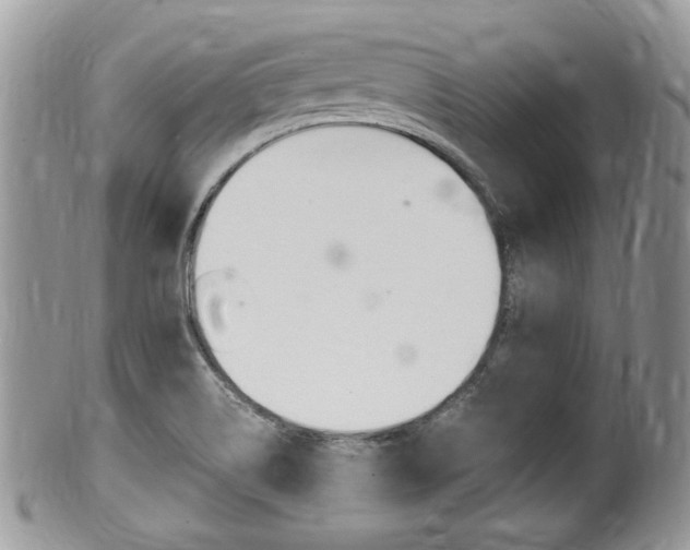 X0000100481514200806130720