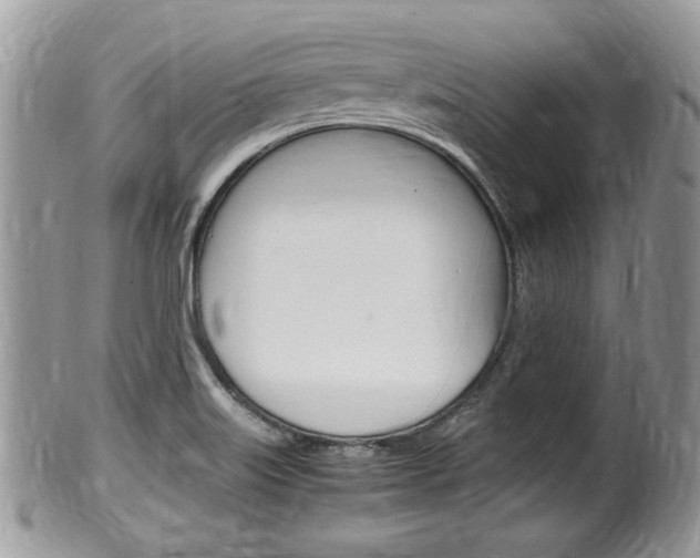 X0000100481515200806130721