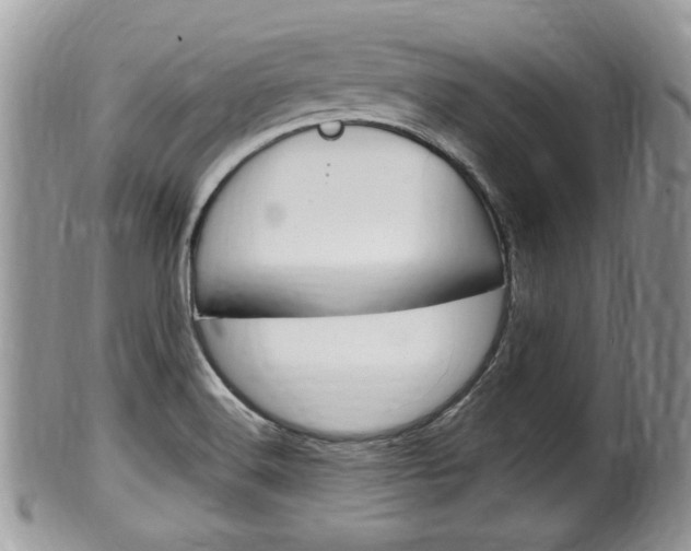 X0000100481516200806130721