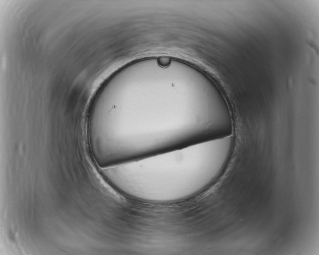 X0000100481517200806130721