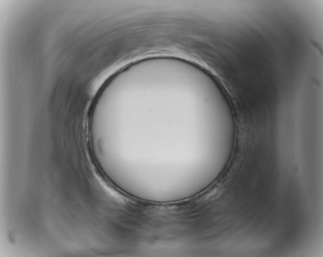 X0000100481519200806130721
