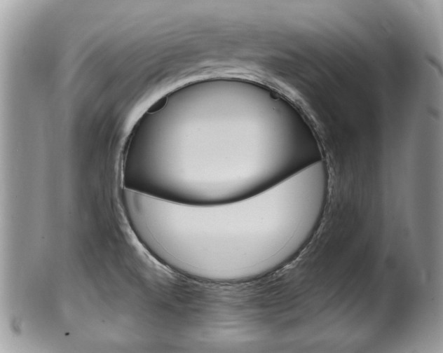 X0000100481520200806130721