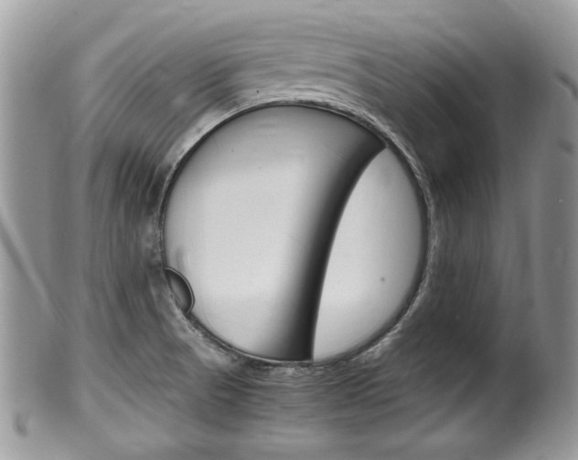 X0000100481521200806130721