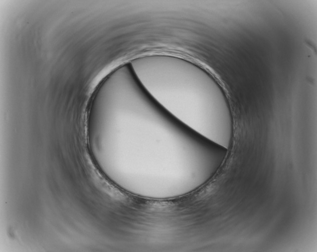 X0000100481522200806130721