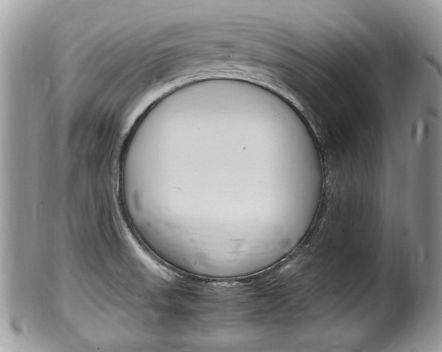 X0000100481523200806130721