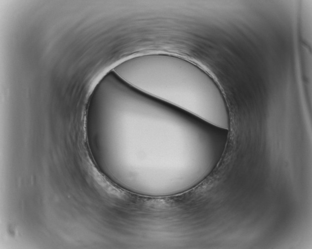 X0000100481524200806130721