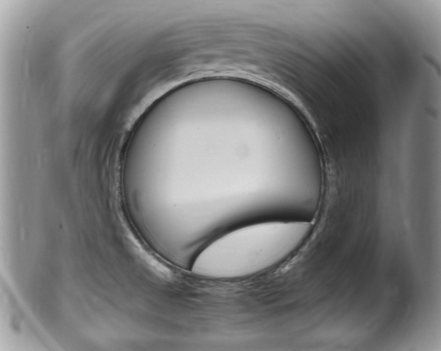X0000100481525200806130721