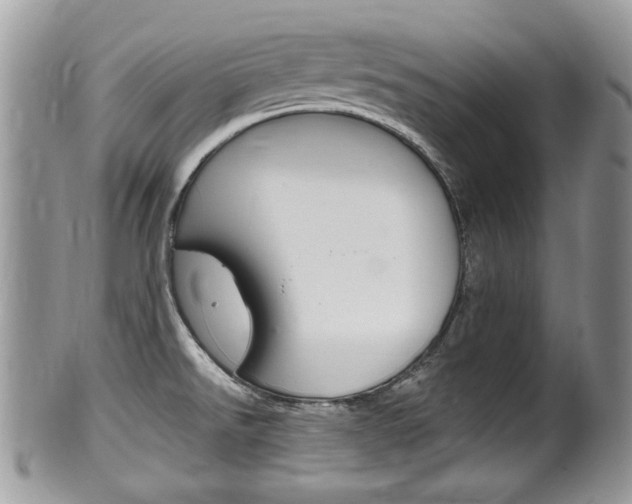 X0000100481526200806130721