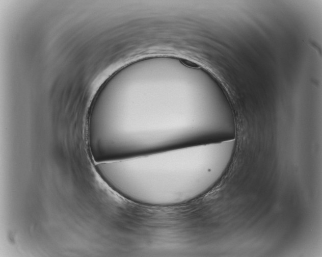 X0000100481527200806130721