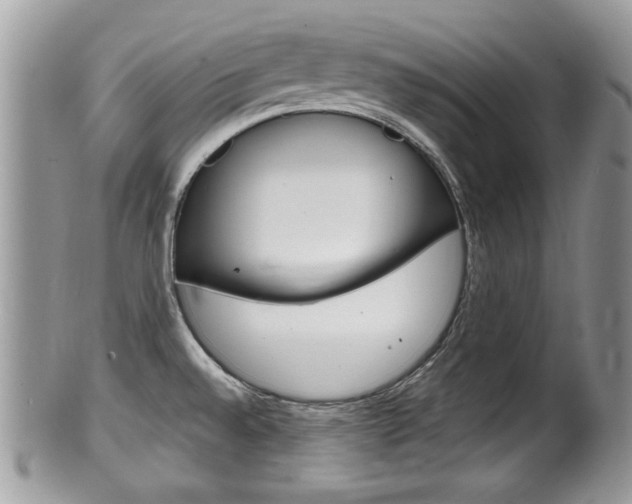 X0000100481528200806130721