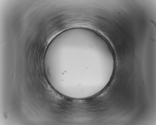 X0000100481529200806130721