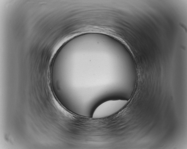 X0000100481531200806130721