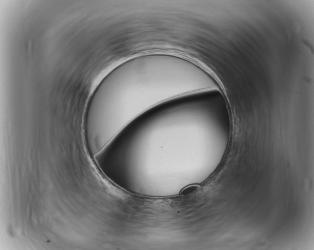 X0000100481533200806130721