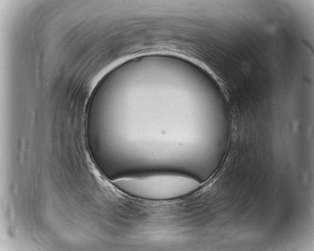X0000100481534200806130721