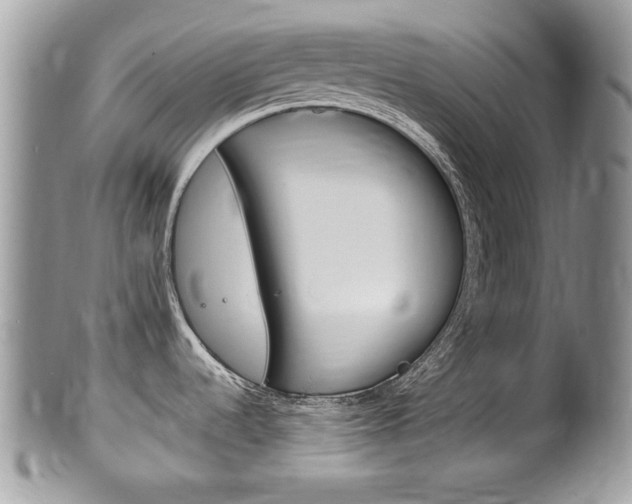 X0000100481536200806130721