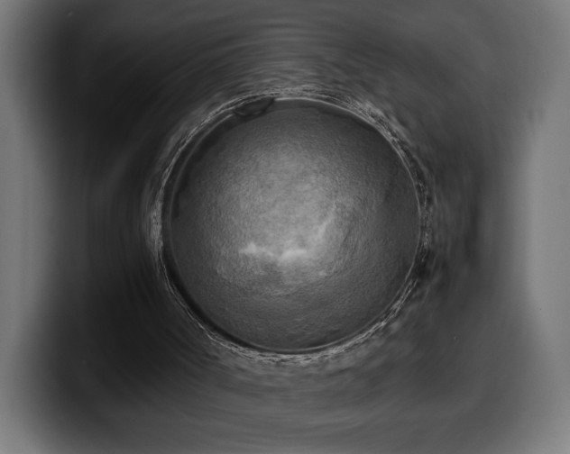X0000100480002200806131239