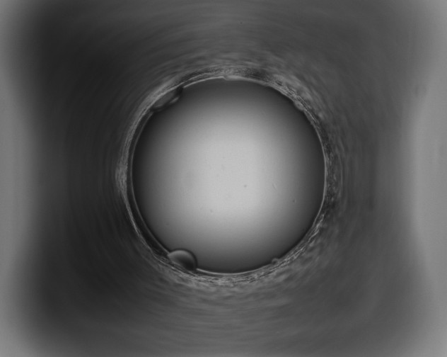 X0000100480003200806131239