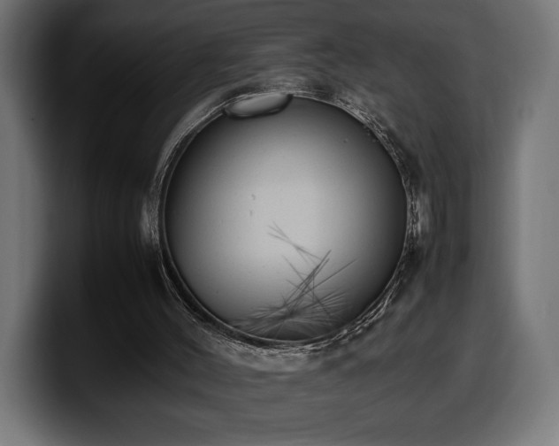 X0000100480004200806131239