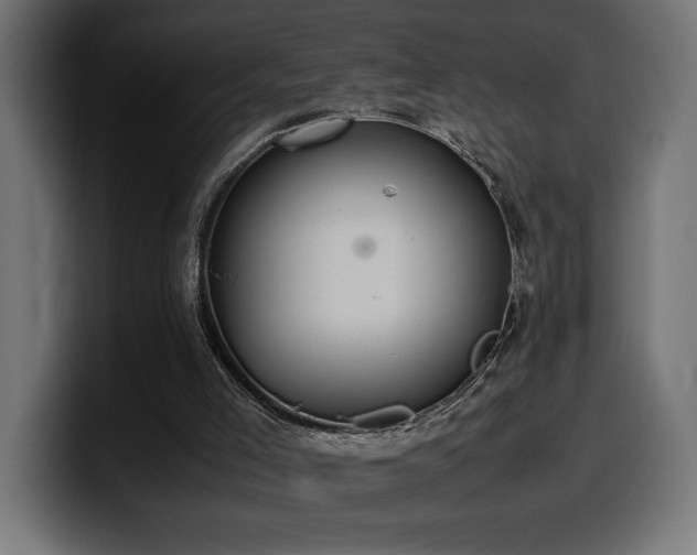X0000100480005200806131239