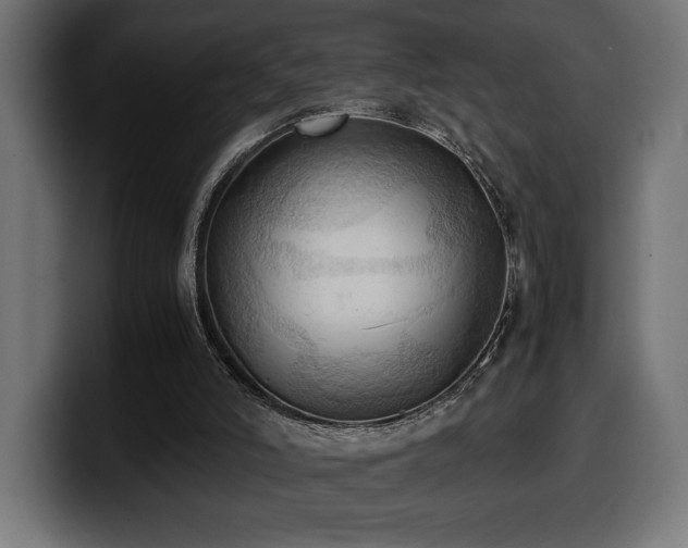 X0000100480006200806131239