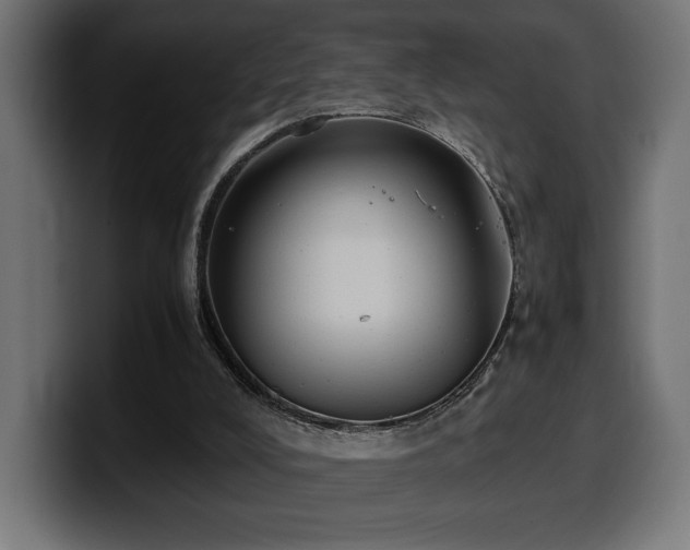 X0000100480008200806131239