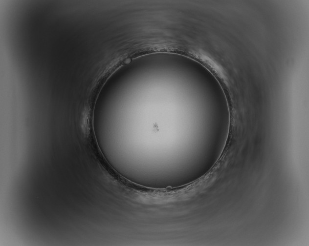X0000100480009200806131239