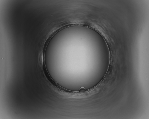 X0000100480011200806131239